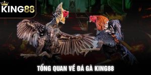 Đá Gà King88