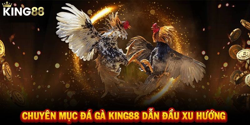 Chất lượng trang đá gà trực tiếp của nhà cái King88