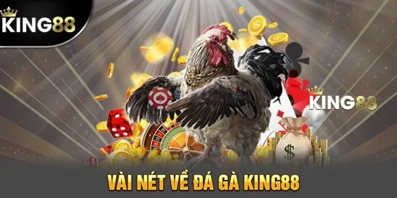 Giới thiệu trang đá gà live cực nổi bật tại King88